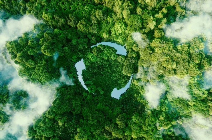 Greening the Guest Experience: Staypineapple’s Strategic Pivot Toward Sustainable Hospitality