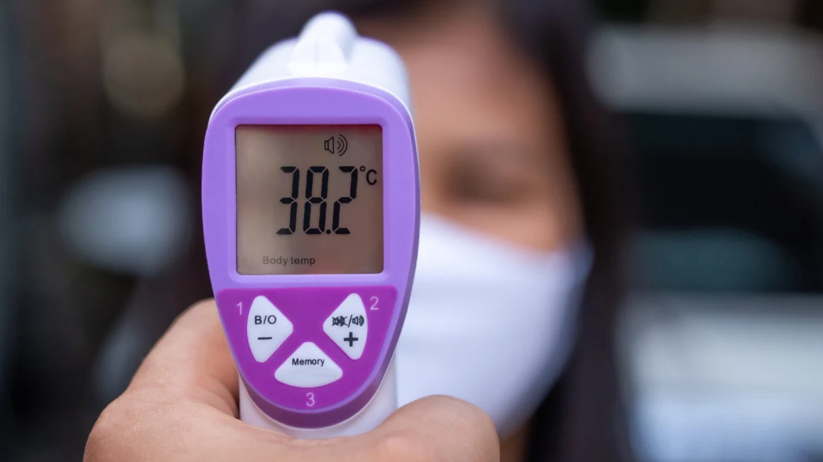 Thailand Bolsters Defenses: Hantavirus Classified as ‘Dangerous Communicable Disease’ Amid Global Vigilance