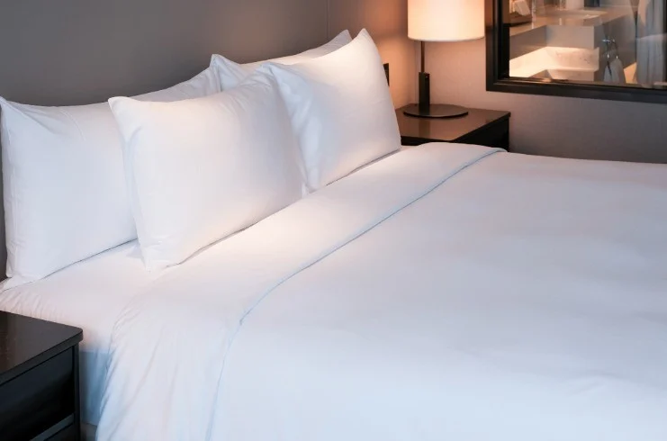 The Silent Guest: Why Proactive Bed Bug Management is the Hotel Industry’s Biggest Operational Imperative