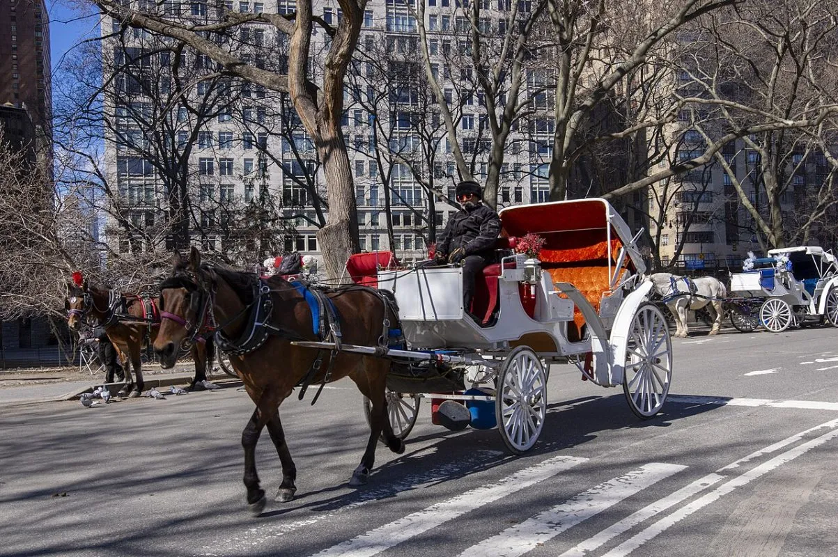 The End of an Era: New York City’s Horse-Drawn Carriages Gallop Towards History